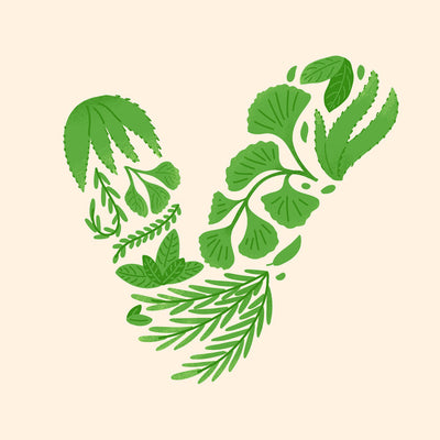 we see the letter v made of plants drawn by hand